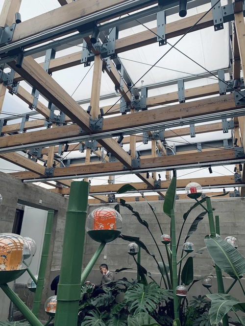 上海咖啡志 百年皂廠變身白七咖啡廳,給城市留下溫暖記憶